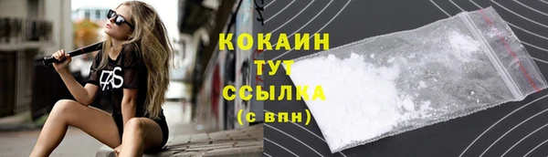 таблы Няндома