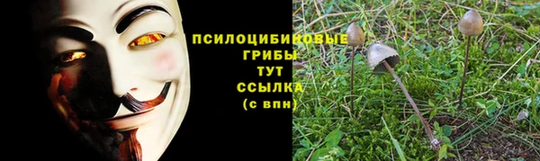 бутират Арсеньев