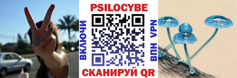 Галлюциногенные грибы MAGIC MUSHROOMS  Райчихинск 