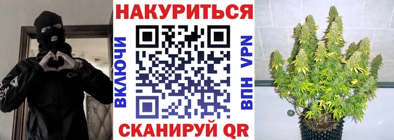 omg маркетплейс  купить наркотики цена  Райчихинск  МАРИХУАНА сатива 